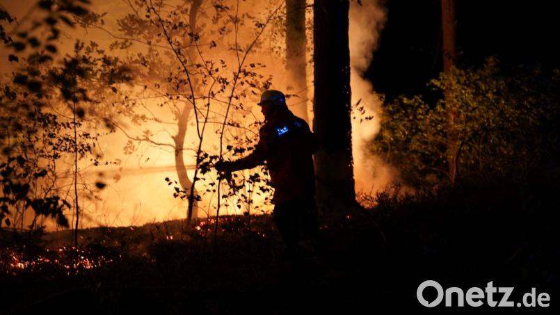 Ein Feuerwehrmann löscht einen Waldbrand. Die Waldbrandgefahr in Bayern ist weiter gestiegen. Symbolbild: Carsten Schmidt/Feuerwehr Bleckede/dpa