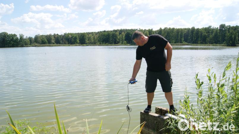 Ein banger Blick aufs Messgerät: Temperatur und PH-Wert geben Johannes Schießl an seinen Weihern bei Asbach Aufschluss darüber, ob das Klima im Teich für die Fische noch erträglich ist. Bild: Julia Schießl/exb