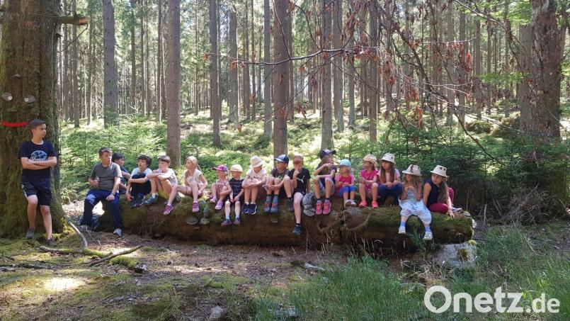 Der OWV Griesbach lud beim Ferienprogramm zur Märchenwanderung in den Zauberwald nach Naab bei Bärnau ein. Bild: Stefan Schmeller/exb