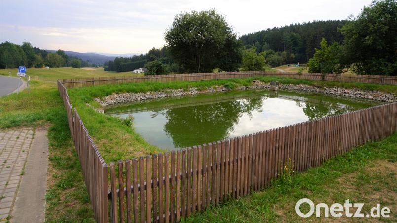 Der Löschweiher in Oberbernrieth führt – wie viele andere Gewässer im Moment – weniger Wasser als sonst. Unbrauchbar ist er für die Feuerwehr damit noch nicht – doch ganze ohne Weiher wie diesen stünden die Wehren vor Problemen. Bild: fvo