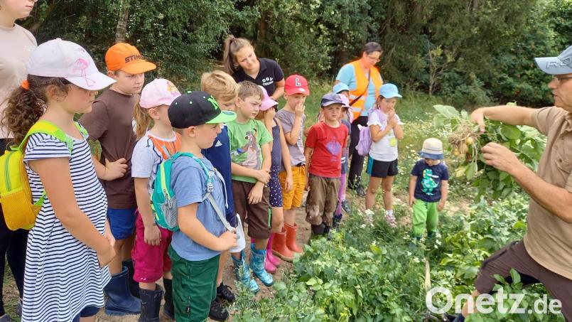 Die Kindergruppe des OGV Teunz, die &quot;Wühlmäuse&quot;, macht einen Ausflug zum Kartoffelfeld von Bauer Elsner und hilft auch beim Graben mit. Bild: wel