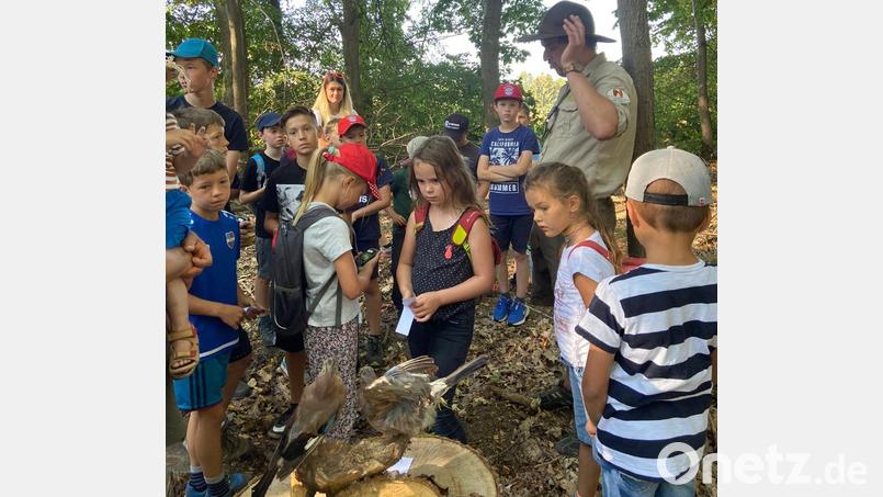 Naturparkranger Stefan Niclas vom Naturpark Nördlicher Oberpfälzer Wald zieht die Kids mit seinem Wissen um die Tiere und Pflanzen der Heimat in seinen Bann. Bild: edo