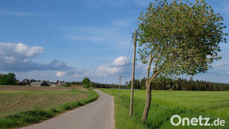 Der &quot;Solarpark Oberbibrach&quot; rückt mit dem Aufstellungsbeschluss des Gemeinderates für einen Bebauungsplan näher. Bisher Acker- und Grünland, sollen auf einer Fläche von 268.000 Quadratmetern bei Grün nahe Oberbibrach (Gemeinde Vorbach) entlang des Ortsverbindungsweges Oberbibrach-Grün PV-Freiflächen errichtet werden, die den Strombedarf für zirka 10.000 Haushalte decken. Eine zwei Meter hohe Randbegrünung soll entlang der Straße einen Sichtschutz zur PV-Freiflächenanlage herstellen. Bild: do