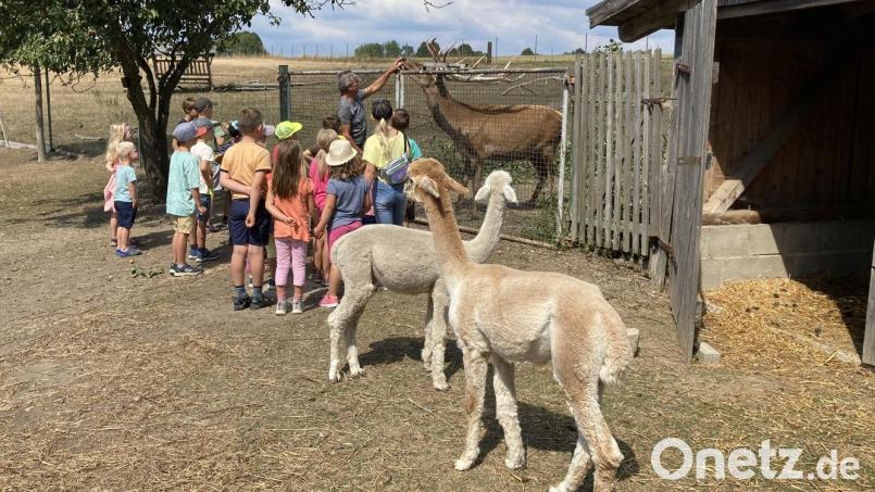 Bürgermeister Reiner Gäbl zeigt den Kindern seine Ranch. Bild: SPD OV Eslarn/exb