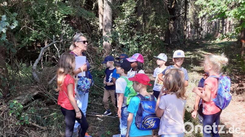 Die Kinder machte sich auf zur Pflanzenschnitzeljagd im Wald. Bild: Kinderschutzbund Tirschenreuth/exb