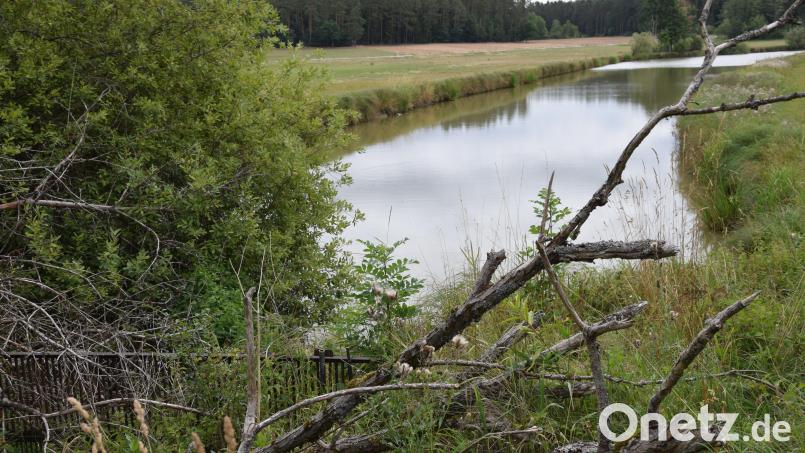 Für den Einzugsbereich des Fürstenweihers (Bild) und des weiterführenden Elsenbaches sollen Schutzmaßnahmen errichtet werden. Die Planung wurde im Gemeinderat vorgestellt. Bild: bö