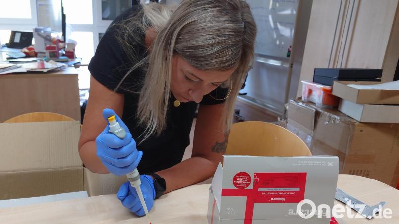 Kristina Schraml tropft Blut in eine Testkassette. Auf diese Weise kann sie in einem schnellen Verfahren Antikörper gegen Corona im Blut eines Probanden ermitteln. Die Auswertung ist auch Teil der Antikörperstudie, die ab September beginnen soll. Bild: lue