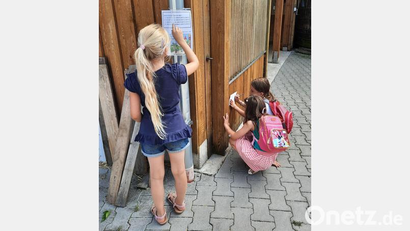 In kleinen Gruppen machten sich die Kinder auf die Suche, um den Schatz zu finden. Auf Hinweisschildern war ein Bilderbuch und ein Rätsel versteckt. Bild: rpp