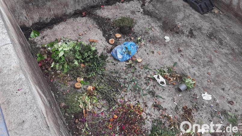 Erneut wurde Hausmüll am Friedhof ins Schönsee entsorgt. Bild: Verwaltungsgemeinschaft Schönsee/exb