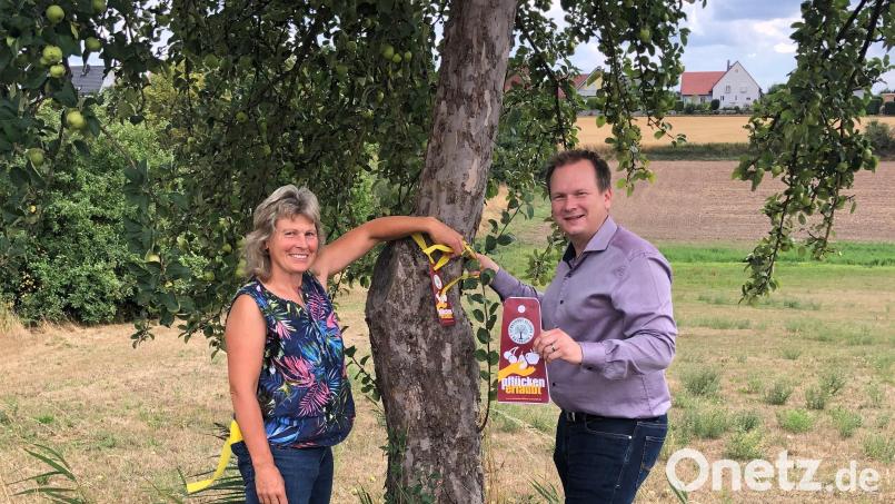 Barbara Dahinten bringt mit Bürgermeister Christian Porsch die Kennzeichnungsbänder an den Obstbäumen der Gemeinde an. Bild: ak