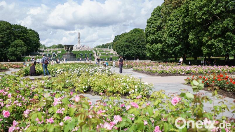 Der Vigelandpark liegt westlich des Osloer Stadtzentrums und bietet eine Pause vom Trubel. Bild: Philipp Laage/dpa