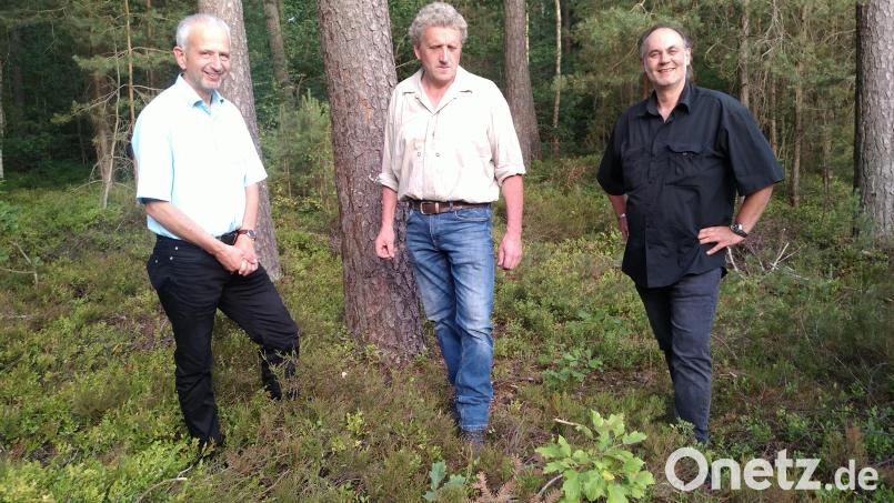 Besuch bei einem Preisträger: (von links) Wolfram Güthler, Staatsministerium für Umwelt und Verbraucherschutz, der 2021 für den Erhalt von Totholz und Biotopbäumen ausgezeichnete Richard Beer und Philipp Roidl von der Unteren Naturschutzbehörde am Landratsamt Amberg-Sulzbach. Vor ihnen steht einer der gewonnenen Elsbeerbäume. Bild: Anton Preischl, Forstrevier Vilshofen