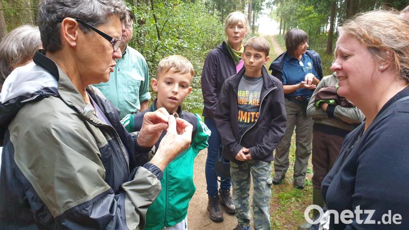 Eine kleine Rauhautfledermaus aus nächster Nähe: Brigitte Schütze erklärte den Körperbau und die Lebensweise der heimlichen Jäger der Nacht. Bild: Susanne Götte/exb