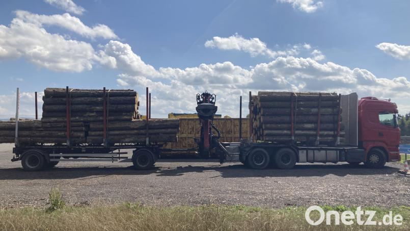 Der Holzlaster war um über zehn Tonnen überladen. Bild: Polizeiinspektion Tirschenreuth/exb