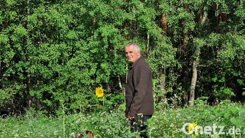 Imker und Jäger aus Leidenschaft: Herbert Fiebak begutachtet seine von ihm angelegte Insektenweide, die der Regen in den vergangenen Tagen nach der langen Trockenheit aufblühen lässt. Bild: ads