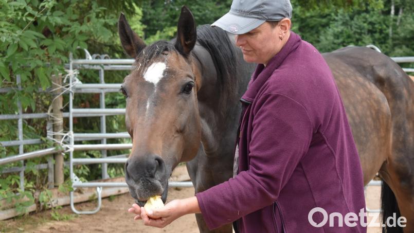 Beatrix Dumler-Brandl mit ihrer Stute Cleo. Der Trakehner-Mix erlitt während des &quot;After World&quot;-Open-Airs in Immenreuth eine schwere Rückenverletzung. Bild: lue