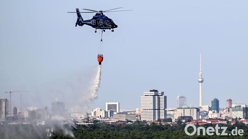 Ein Hubschrauber der Bundespolizei wirft Wasser über der Brandstelle im Grunewald ab. Bild: Britta Pedersen/dpa
