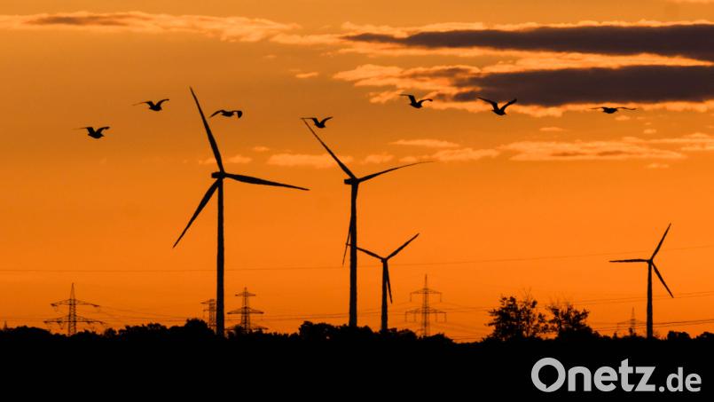 14 Oberpfälzer Kommunen sowie die ILE Schwarzach-Regen mit zehn Mitgliedern werden von der Oberpfälzer Regierung auf ihrem Weg zu einer erfolgreichen Energiewende unterstützt. Symbolbild: Julian Stratenschulte