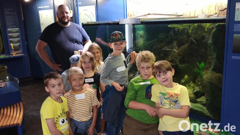 Die Mädchen und Buben beim Füttern der Fische im Aquarienraum mit Fischpfleger Christoph Kick (hinten links). Bild: Herta Zölch/exb