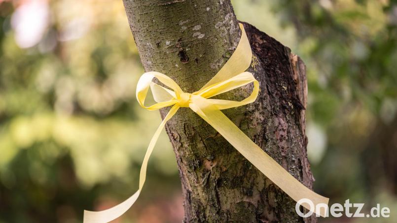 Das gelbe Band an einem Obstbaum kennzeichnet auch in diesem Jahr, wo man sich ohne Rücksprache bedienen darf. Bild: Mohssen Assanimoghaddam