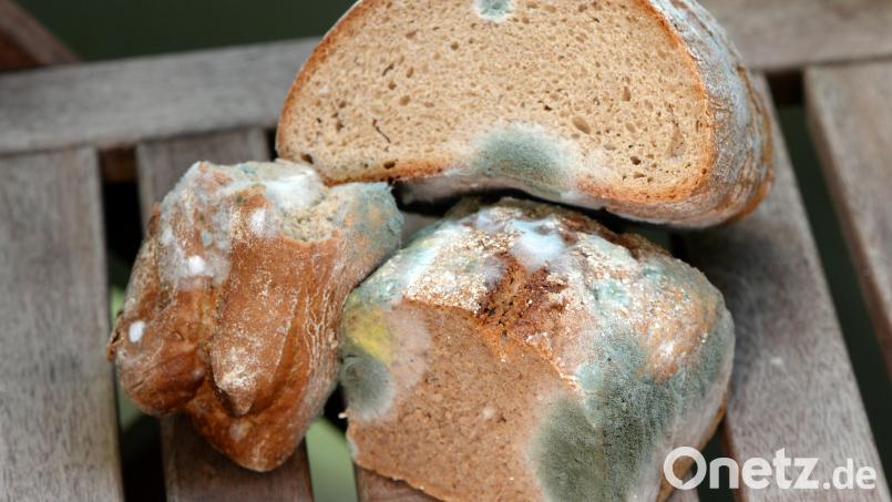 Alle Jahre wieder: Immer wenn ein neues Schuljahr begann, fand Redakteur Wolfgang Ruppert sein Pausenbrot aus dem letzten Schuljahr in seiner Schultasche. Symbolbild: Jens Kalaene/dpa