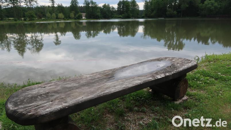 Bald wieder wird der Naturweiher im Schätzlerbad so menschenleer sein wie hier kurz nach der Eröffnung in diesem Jahr. Archivbild: Kunz