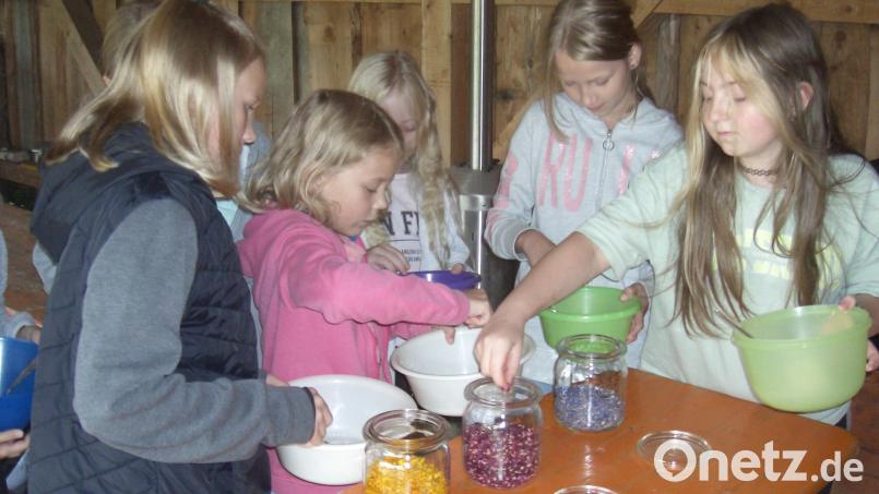 Die Bärnauer Kinder stellten bei der Ferienprogramm-Aktion im Geschichtspark selbst Lippenbalsam und Badekugeln her. Bild: Stadt Bärnau/exb