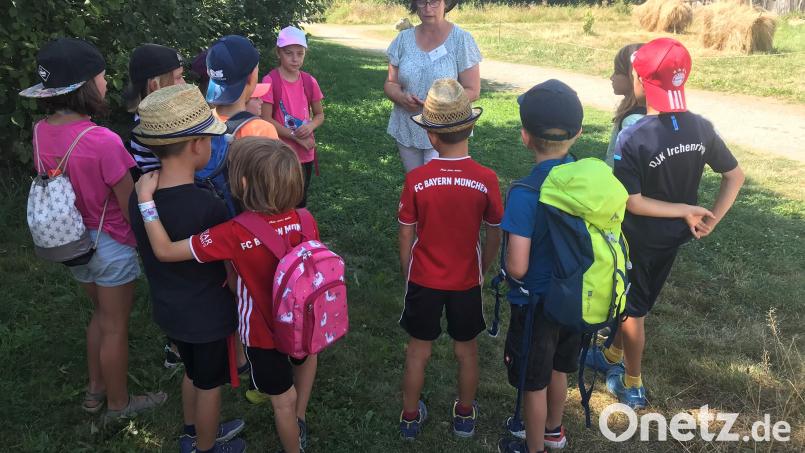 Viel Wissenswertes aus dem Leben im Mittelalter erfahren die Kinder bei der Führung durch den Geschichtspark. Bild: Ziegler/exb