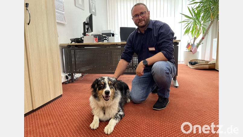 Nur gute Erfahrungen macht der Leiter der &quot;K &amp; S-Seniorenresidenz&quot;, Marcel Klepsch, mit seiner „Bürohündin“ Shana. Bild: Bäumler/fph