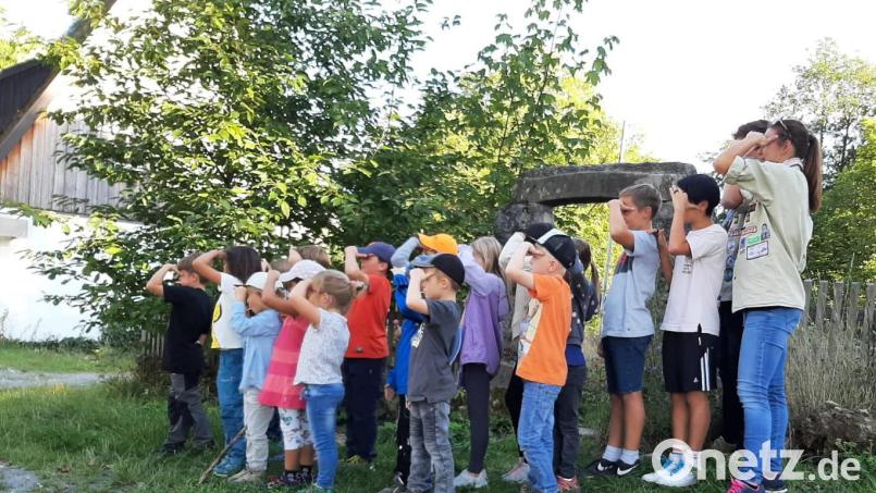 Wo ist es denn bloß? Manchmal mussten alle Kinder beim Geocaching der Pfadfinder schon ganz genau hinsehen, um das Versteck ausfindig zu machen. Bild: hai