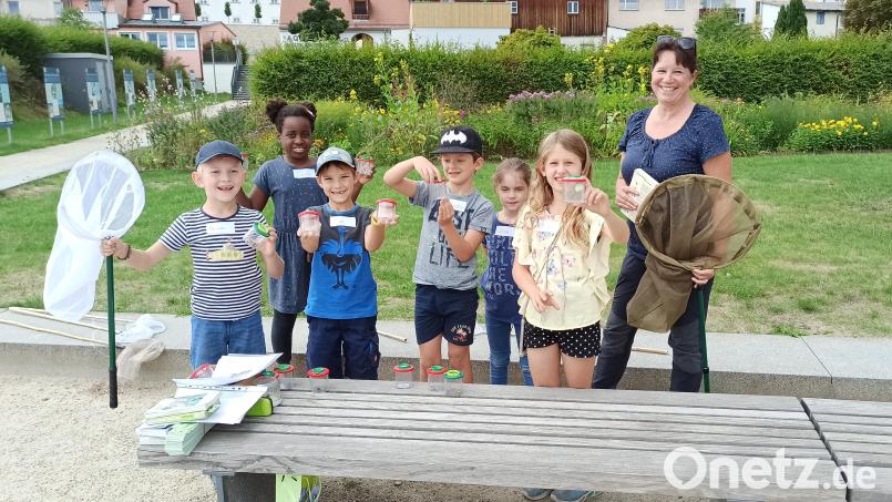 Katrin Möhrlein (rechts) hatte viel Interessantes über Insekten und Pflanzen am Teich zu erzählen. Bild: Herta Zölch/exb