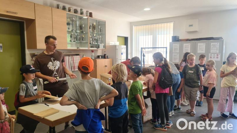 Beim SPD-Ortsverein fertigen 20 Kinder im Ferienprogramm der Gemeinde Parkstein bunte und fantasievolle Nistkästen. Bild: Elke Beßenreuther/exb