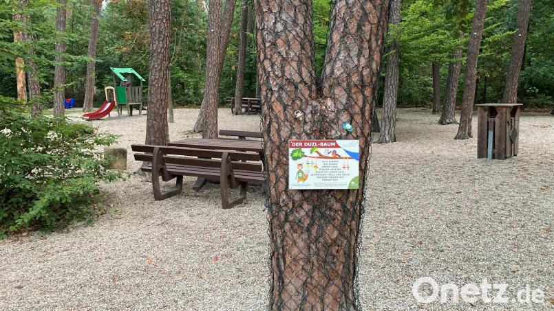 Am „Duzl-Baum“ beim Waldspielplatz in der Höllohe können Kinder ihre Schnuller aufhängen. Bild: Stefan Jahreiß/exb