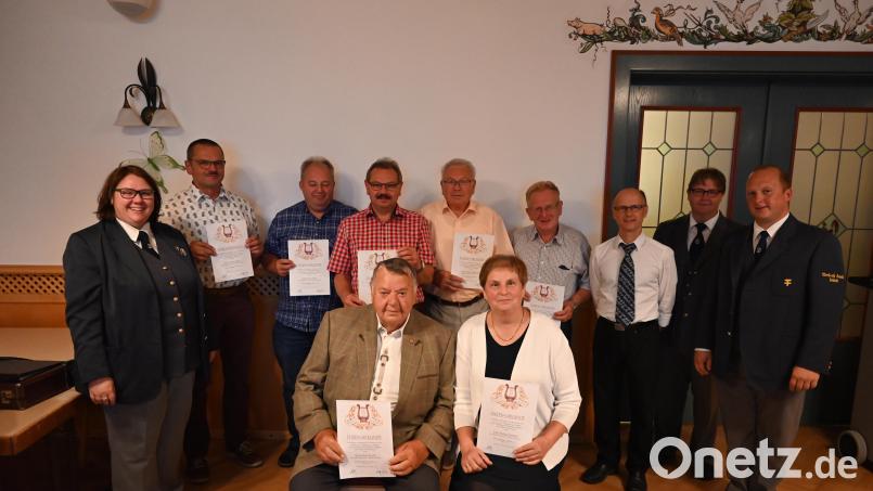Die Werkvolkkapelle Schlicht ehrt fördernde Mitglieder (stehend, von links): Dirigentin Sabine Kredler, Anton Meiler, Peter Weiß, Helmut Schöpf, Dieter Schmalisch, Herbert Wiesnet, stellvertretender Musikbund-Kreisvorsitzender Horst Bauer, stellvertretende Vorsitzende Anja Bauer und Vorsitzender Harald Lukesch; sitzend (von links): Hans Prechtl und Hedwig Trummer. Bild: sak