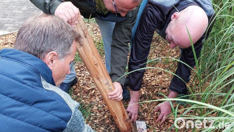 Die Sportgruppe "Fit mit 60" beim "Kirwa-Asgrom". Bild: Haberzeth/exb
