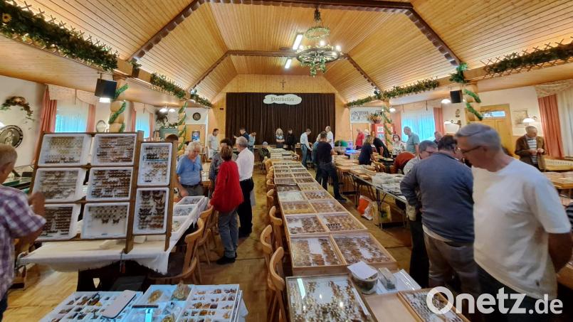 Hunderte von Besuchern zog die Insektenbörse im "Postkellersaal" an. Bild: hcz