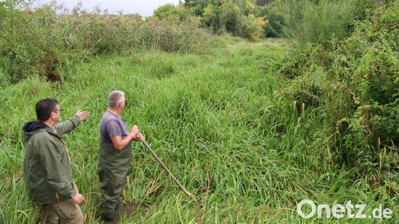 Vorsitzender Dieter Teich und Gerätewart Hermann Heimler vom Fischereiverein Rieden würden eigentlich jetzt tief im Wasser stehen.
Doch der Altwasserarm ist verlandet. 200 Meter entfernt läuft die Vils vorbei. Bild: mrr