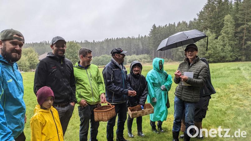 Stefan Hartwig (rechts), Pilzsachverständiger der Deutschen Gesellschaft für Mykologie, zeigt den Teilnehmern, wie die Schwammerln erkennbar sind. Bild: gi