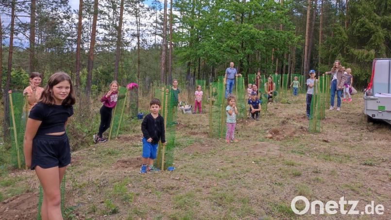 25 Bäume wurden am Fischberg gepflanzt, wo früher der Hochbehälter stand. Bild: Christian Liebl/exb