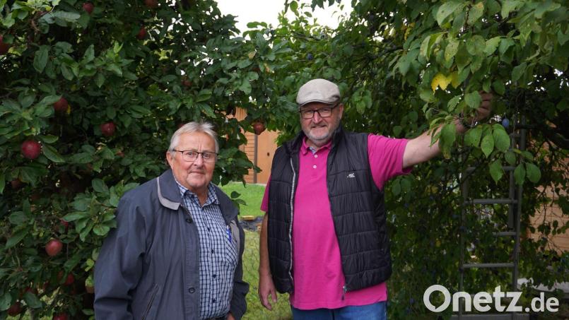 Zwischen Äpfeln und Zwetschgen verbringen Reinhard Heller und Klaus Schuster viel Zeit. Doch in diesem Jahr war es für eine ertragreiche Ernte erst zu trocken und jetzt zu nass. Bild: jeb