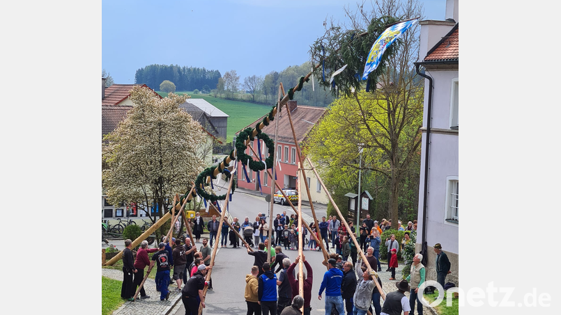 Maibaumaufstellen in Püchersreuth ist ein Gemeinschaftswerk. Bild: tok