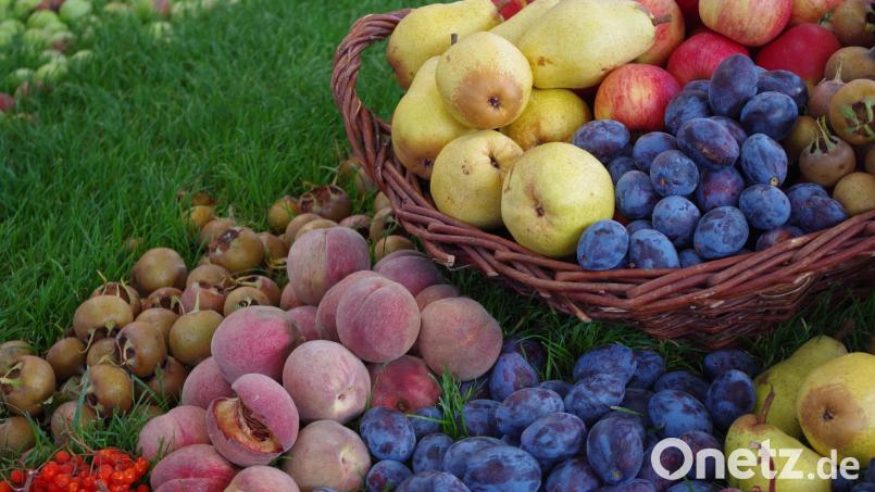 Wohin mit all dem Obst? Es gibt einige Anlaufstellen dafür. Bild: Sabine Weber