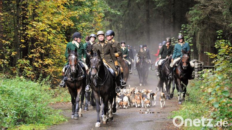 Die 15. Kurfürstliche Schleppjagd startet am 15. Oktober in Amberg. Bild: Doris Frank-Schneider/exb
