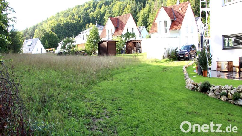 Das Baugebiet Schlossblick wird auf dieser Fläche um eine Ortsabrundung erweitert. Bild: ds