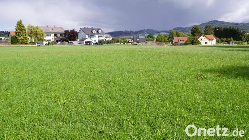 Die große grüne Wiese konnte die Gemeinde als Baugrund erwerben. Im Hintergrund sind der Armesberg und der Zinster Steinbruch zu erkennen. Bild: bkr