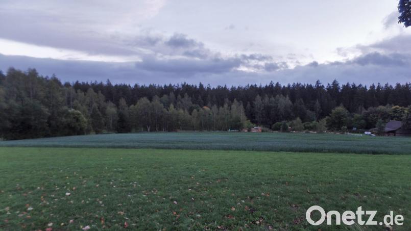 Im Waldgebiet (im Bildhintergrund) östlich von Schwarzenreuth in Richtung Langentheilen hat der Regionale Planungsverband „Oberpfalz-Nord“ bereits 2014 auf dem Gebiet der Gemeinde Neusorg eine Fläche für Windenergieanlagen näher in Betracht gezogen. Bild: br