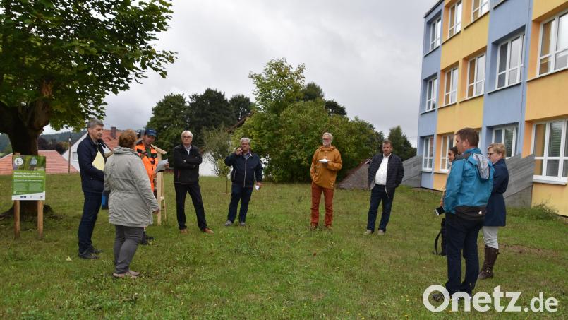 Bei der Schule in Schönsee soll eine Blühwiese entstehen, um die sich dann die Schüler kümmern dürfen. Bild: Stadt Schönsee/exb