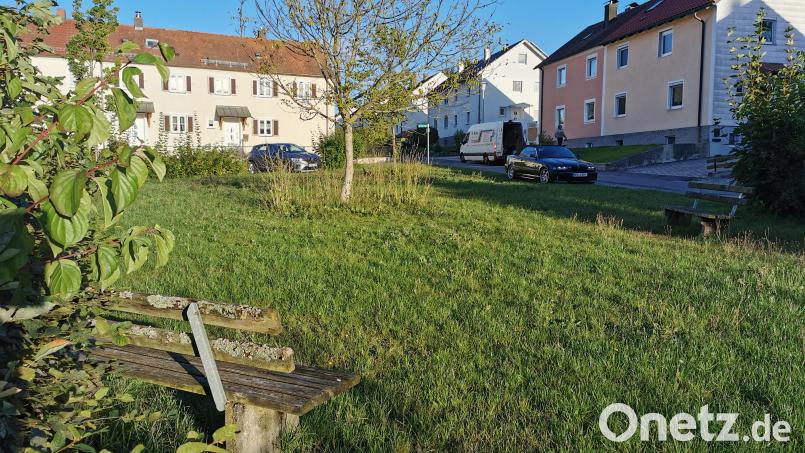 Die öffentliche Grünfläche im Dreieck zwischen Tannenweg, Weidenweg und Birkenweg ist derzeit nur mit zwei Bänken bestückt. Der Wunsch eines Anliegers, hier einen Kinderspielplatz einzurichten, scheitert im Stadtrat. Bild: Portner