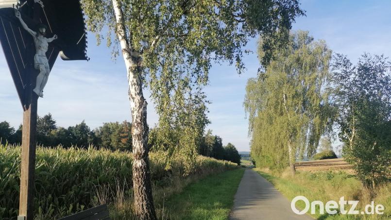 Am Waldrand zwischen Oberkonhof und Mantlarn soll ein Funkmast gebaut werden. Bild: Kristin Winderl