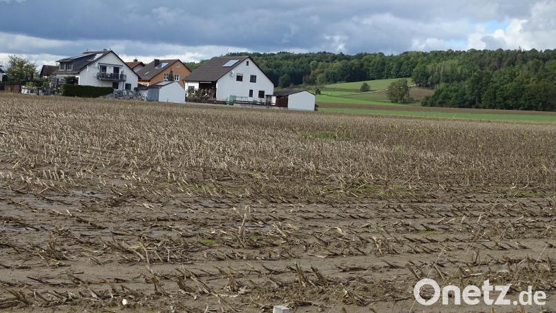 Am östlichen Ortsrand von Knölling gibt es eine mehrere Hektar große Fläche, die der Gemeinde Fensterbach gehört und zu Bauland umgewidmet werden könnte. Wäre dies der Fall, kämen dort die neuen Grundstücks-Vergaberichtlinien erstmals zur Anwendung. Bild: Houschka
